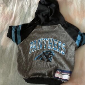 Pets First Panthers Hoodie